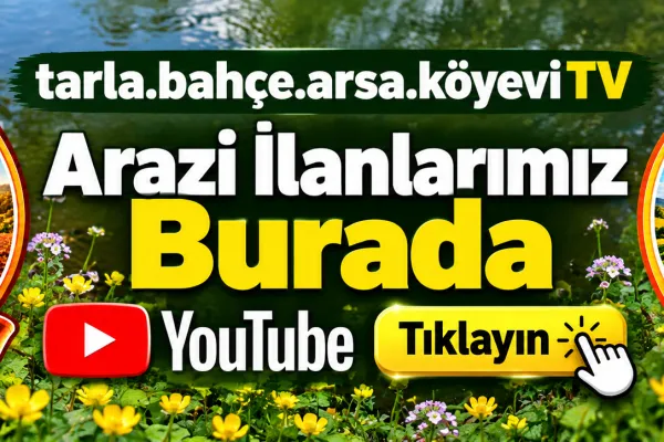 Galeri Fotoğrafı
