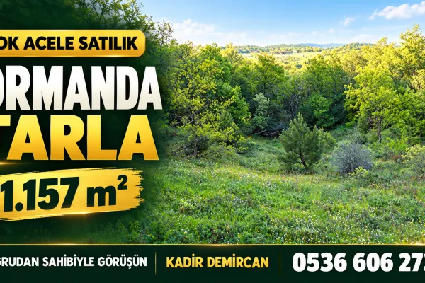 1.157 M2 Asfalt Dibi Yolu Olan Tarla. Keşif Arazi