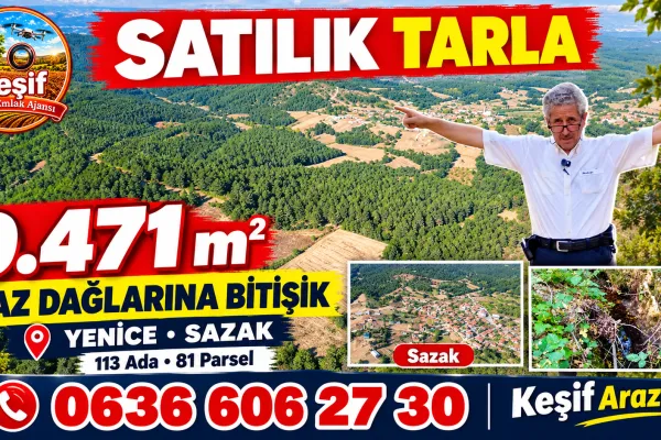 x 9.471 M2 Kaz dağlarında Satılık Tarla. Çanakkale Yenice Sazak köyü 113 ada 81 parsel Zeynel Öztürk 0537 824 1912