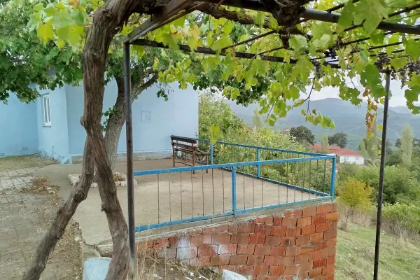 Fotoğraf 23
