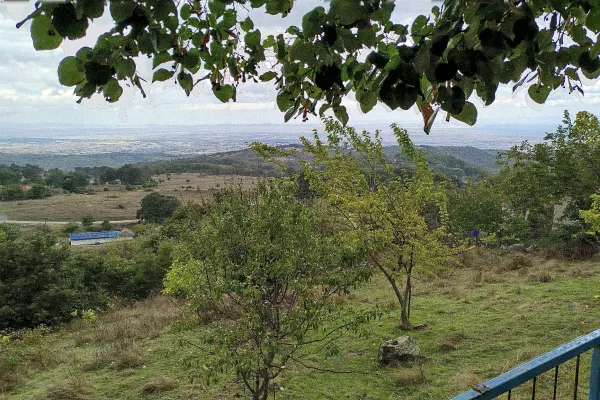Fotoğraf 15
