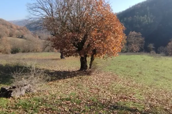 Fotoğraf 12