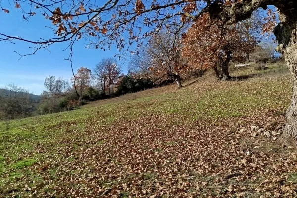 Fotoğraf 13