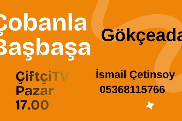 Çobanla Başbaşa Çanakkale Gökçeada-1 Salma Koyun Keçi ve Kaz Çobanı İsmail Çetinsoy 05368115766