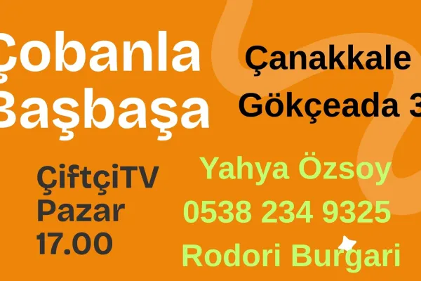 Çobanla Başbaşa Çanakkale Gökçeada-3 Koyun Keçi Sığır Çiftliği Sahibi Rum Çoban- Rodori Burgari ve Koyun Çobanı ve Demirci Esnafı Yahya Özsoy 05382349325