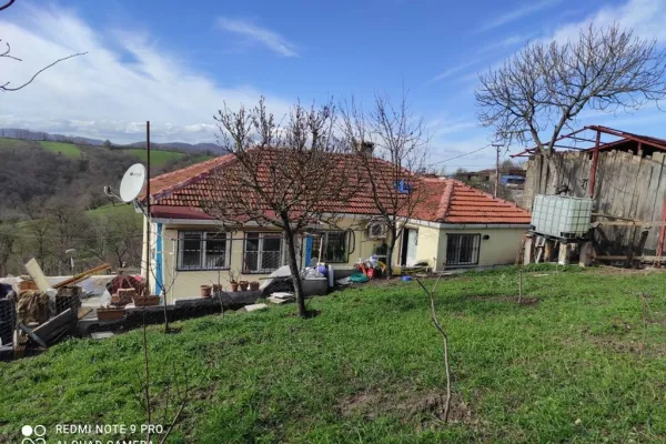 Fotoğraf 15