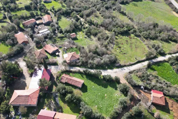 Fotoğraf 1