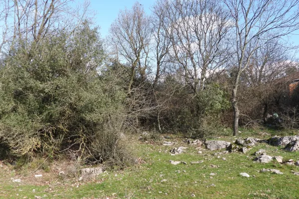 Fotoğraf 12
