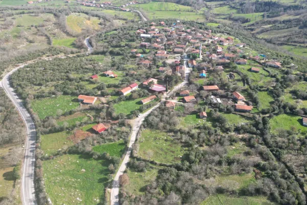 Fotoğraf 6