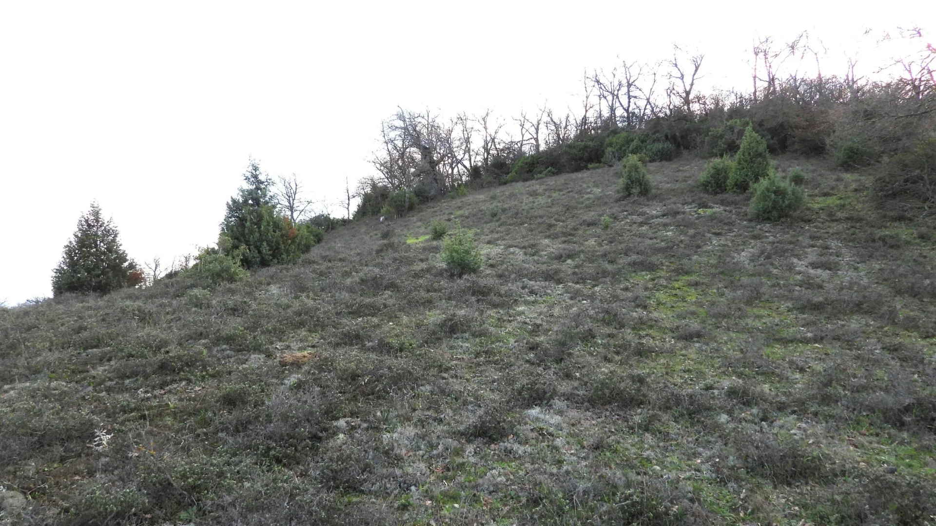 Keşif Arazi 4.920 M2 Asfalta yakın, Yolu Olan Tarla. Balıkesir Balya Çukurcak ta 103 ada 124 parsel