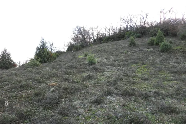 Keşif Arazi 4.920 M2 Asfalta yakın, Yolu Olan Tarla. Balıkesir Balya Çukurcak ta 103 ada 124 parsel
