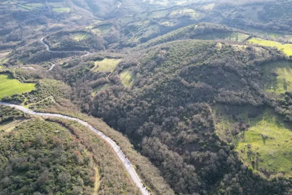 Fotoğraf 12