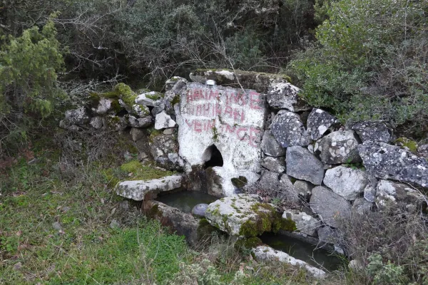 Fotoğraf 15