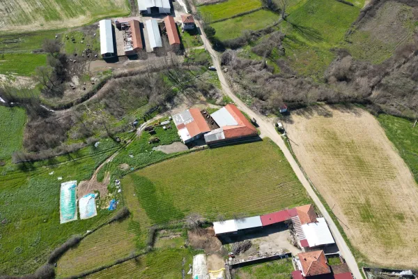 Fotoğraf 11