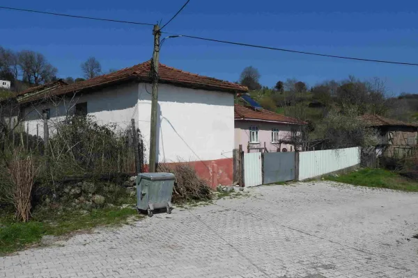 Fotoğraf 12