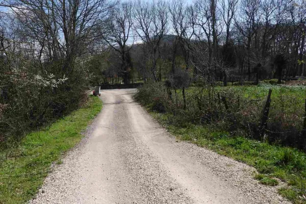 Fotoğraf 14