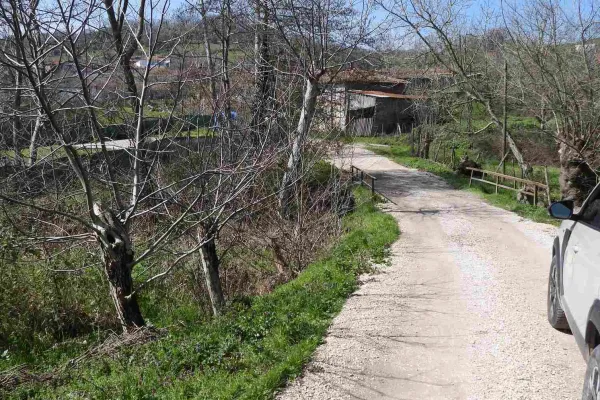 Fotoğraf 19