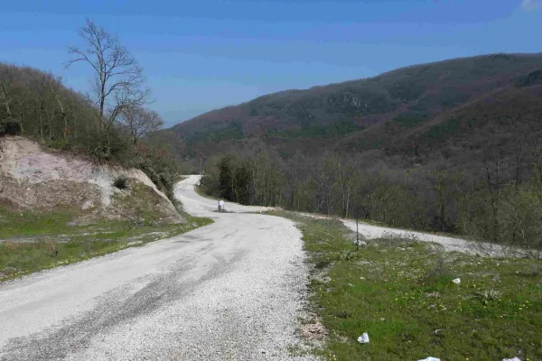Fotoğraf 20