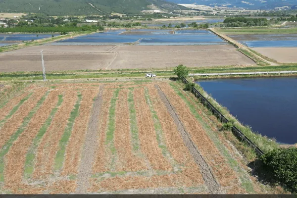 Fotoğraf 1