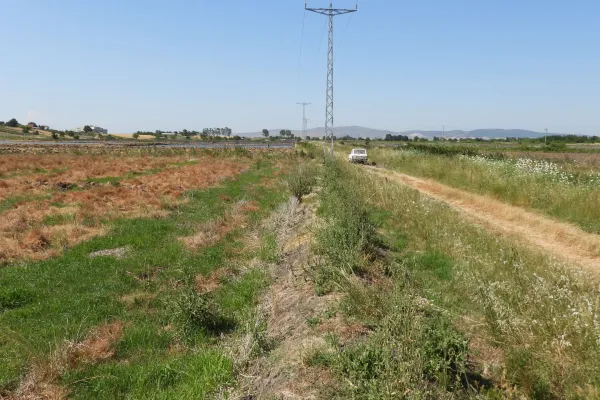 Fotoğraf 13