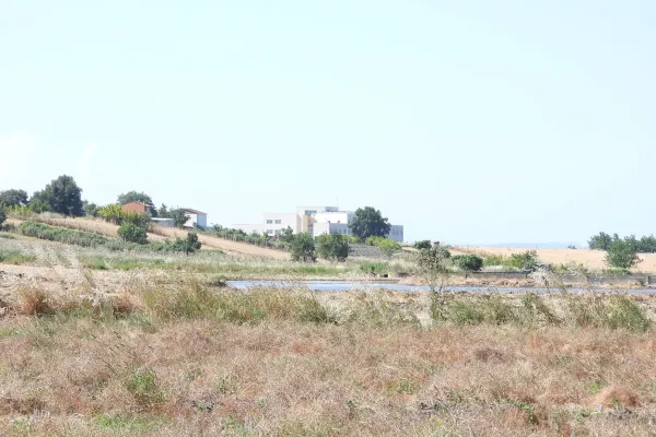 Fotoğraf 16