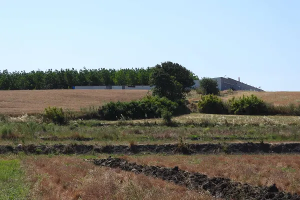 Fotoğraf 18