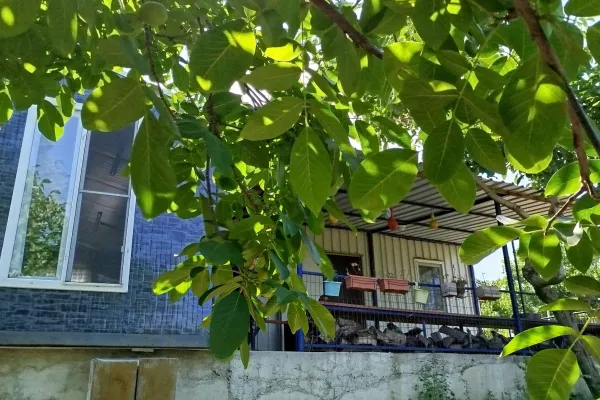 Fotoğraf 20
