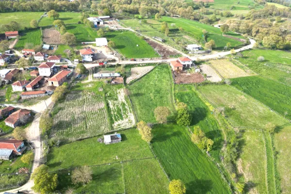 Fotoğraf 11