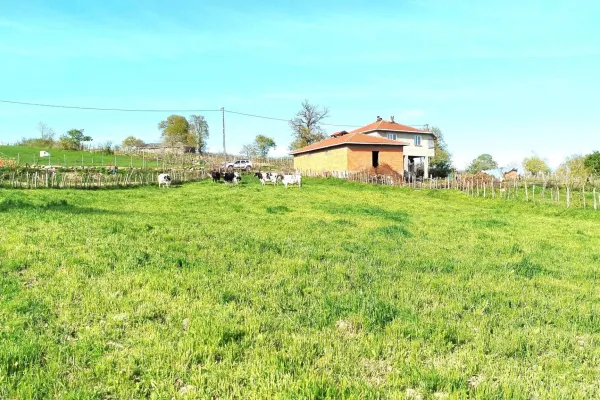 Fotoğraf 22