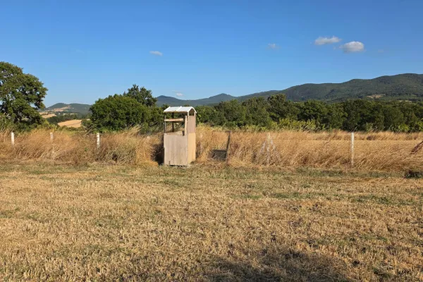Fotoğraf 12