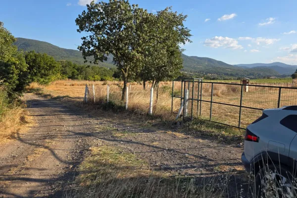 Fotoğraf 17