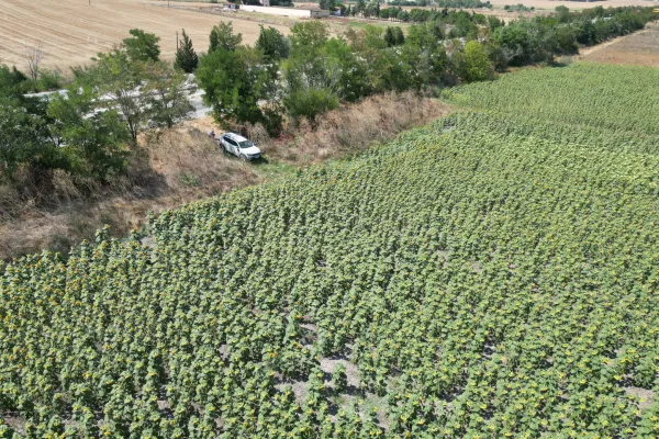 Fotoğraf 13