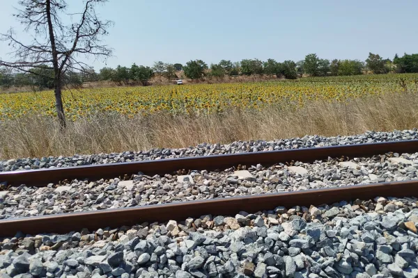 Fotoğraf 14