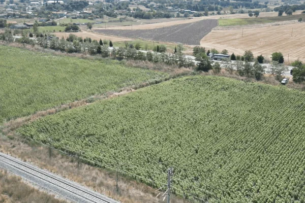 Fotoğraf 22