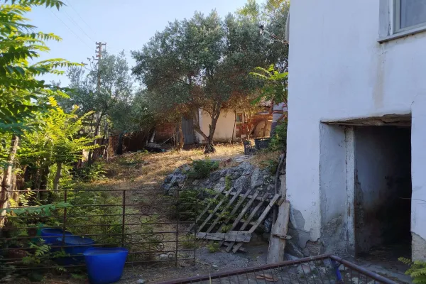 Fotoğraf 10