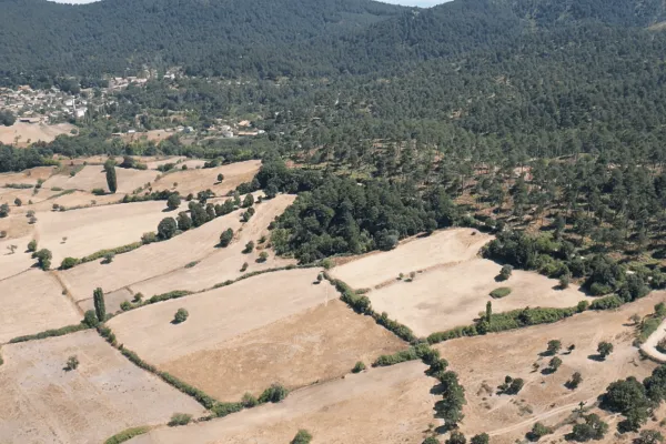 Fotoğraf 11
