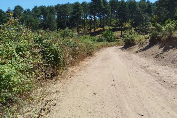 Fotoğraf 14