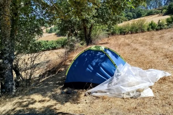 Fotoğraf 15
