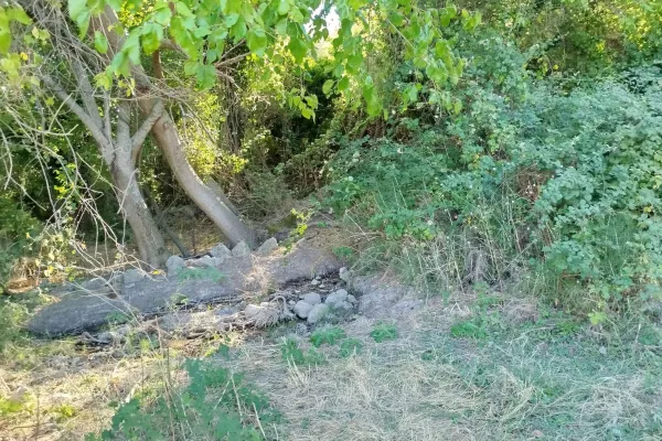 Fotoğraf 12
