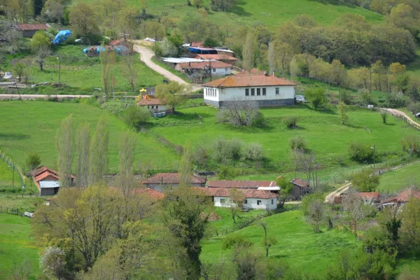 Fotoğraf 7