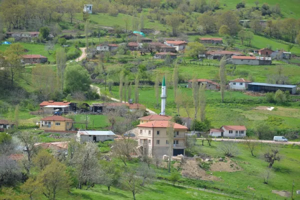 Fotoğraf 8
