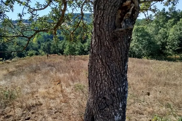 Fotoğraf 21