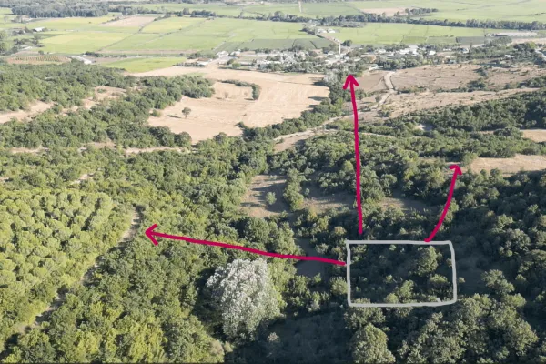 954 M2 Orman İçinde Satılık Tarla. Baıkesir Manyas Dereköyde 136 ada 14 parselde.