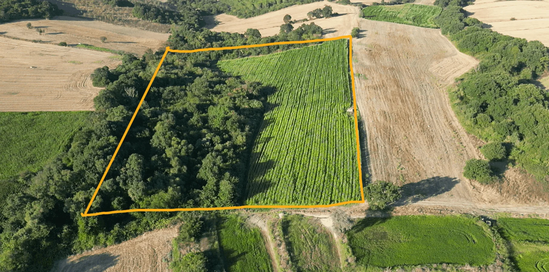 32.316 M2 Satılık Sulu Tarla. Balıkesir Manyas Dereköy 102 ada 8 Parselde.