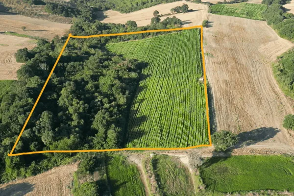 32.316 M2 Satılık Sulu Tarla. Balıkesir Manyas Dereköy 102 ada 8 Parselde.