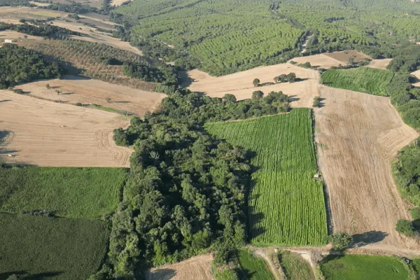 Fotoğraf 15