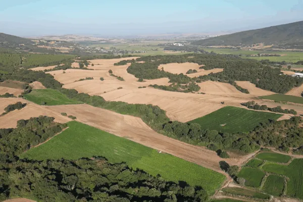 Fotoğraf 17