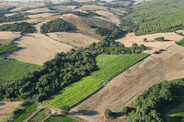 Fotoğraf 20