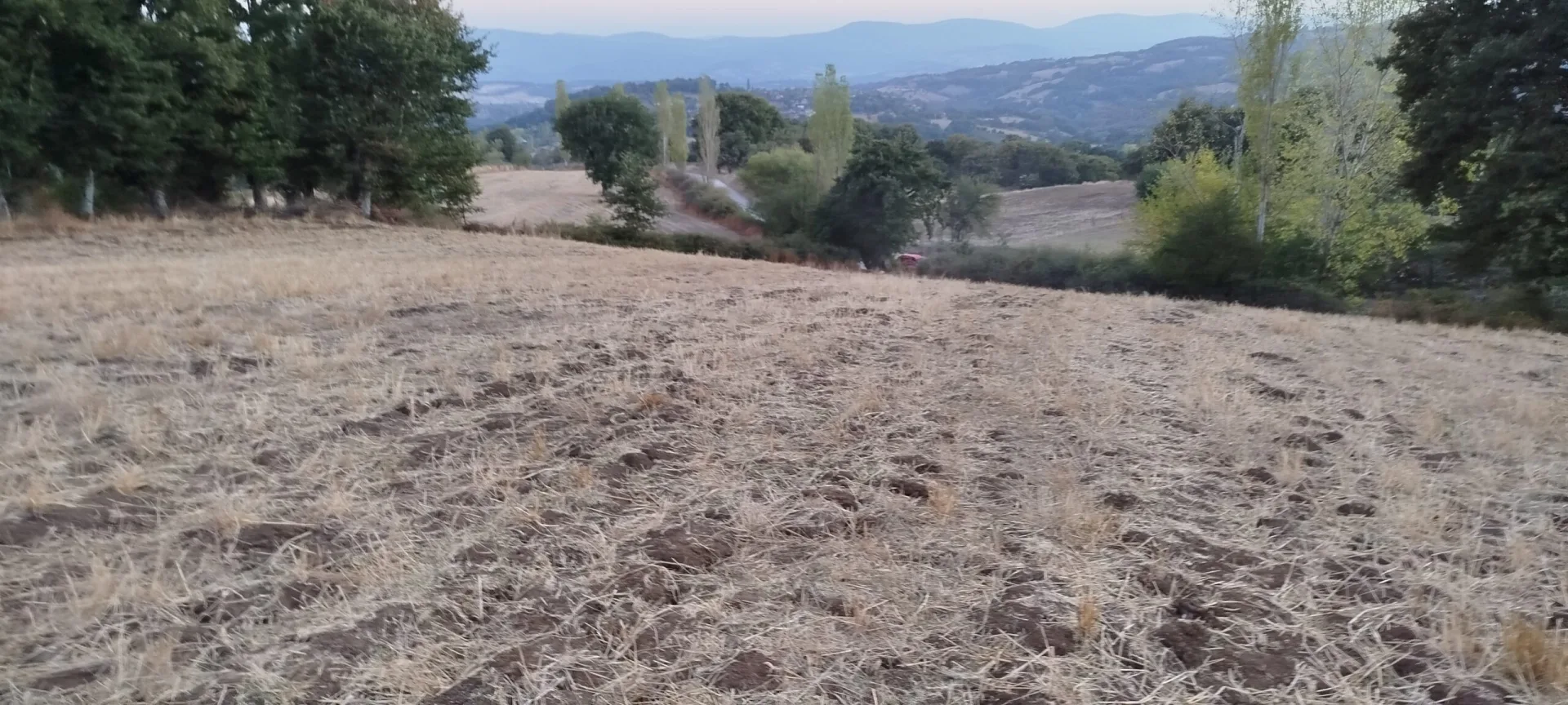 Keşif Arazi 8.387 m2 Tarla Çanakakle Yenice Yeşilköy 116-32..