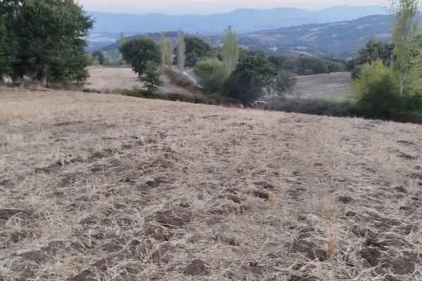 Fotoğraf 1